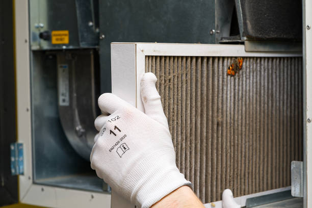 Best Affordable Duct Cleaning Services  in Westby, WI